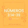 Números 3:14-39