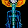 Alchemical Circulation of the Light