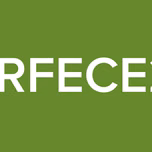 SCARFECE22A