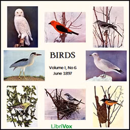 Birds, Vol. I, No 6, June 1897 by Various