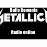 Metallica mix.mp3