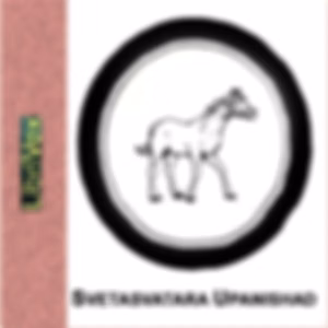 Svetasvatara Upanishad by Unknown