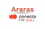 Rádio Conecta 104.1 FM
