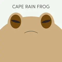 Cape Rain Frog | Week of July 20th