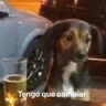 losviernes sesión 6-11