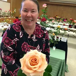 The Best Roses For Cut Flowers