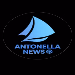 Il punto di " Antonella Nees"