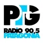 Radio Patagonia 90.5
