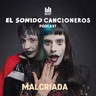 Malcriada: cultura goth, indie sleaze y vivir en internet | El Sonido: Cancioneros