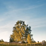 Alingsås Mix