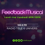 Feedback Musical