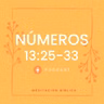 Números 13:25-33