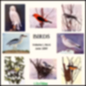 Birds, Vol. I, No 6, June 1897 by Various