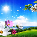 BAHAR FM