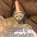 kimatsukicomedordecasada