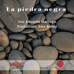 La piedra Negra