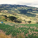 valle estereo tulua