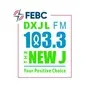 The New J 103.3 - DXJL