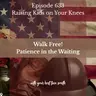 Walk Free! Patience in the Waiting