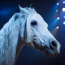 Die Tierdocs: Pferd tritt