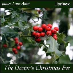 Doctor's Christmas Eve