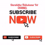 Darshitha FM