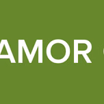 RADIO AMOR ONLINE