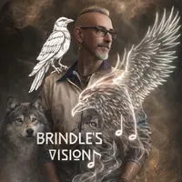 Brindle's Vision