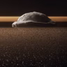 EL SISTEMA SOLAR: 2- MUNDOS OSCUROS #documental #astronomia #podcast