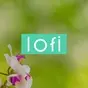 Litt Live - Lofi - Chill & Instrumental Hip-Hop Beats