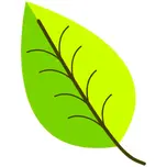 Beechberg Radio