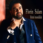 Web Radio Network  Florin Salam