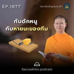 MT1877 กับดักหนู กับ หายนะของทีม | พระไตรปิฎกยามเช้า EP.1877 21/05/69