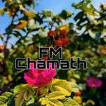 FM Chamath
