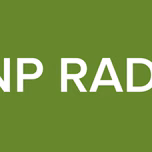 GNP RADIO