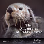 Adventures of Paddy Beaver, The by Thornton W. Burgess (1874 - 1965)