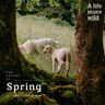 The Sounds of Spring in Eryri National Park