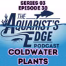 Coldwater Tanks CAN Have Plants: Here's What Actually Survives