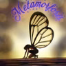 #7. METAMORFOSIS-CANCIONES PEDIDAS