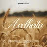 A COLHEITA | PRA. MOARA MARTINS | 25.06.26