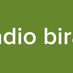 Radio birat