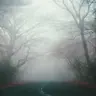 3 Historias de Terror en BOSQUES (3)  Relatos de horror Reales  Herr Terror en la Oscuridad.mp3