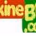 Pikine BIZ Radio