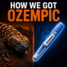 The Wild Lizard Venom Origins of Ozempic