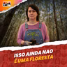 Por que não basta plantar ÁRVORES para restaurar uma FLORESTA?