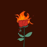 Hindi Lofi Radio