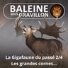 BEST OF D'ÉTÉ #26 La Gigafaune du passé 2/4 : Les grandes cornes
