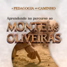 Episódio 332 | A Pedagogia do Caminho: Aprendendo no Percurso ao Monte das Oliveiras - Pr. Arieuston Gomes