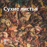 Сухие листья