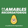 Semana del 17 al 24 de noviembre